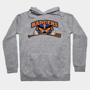 Badgers Baseball Hoodie